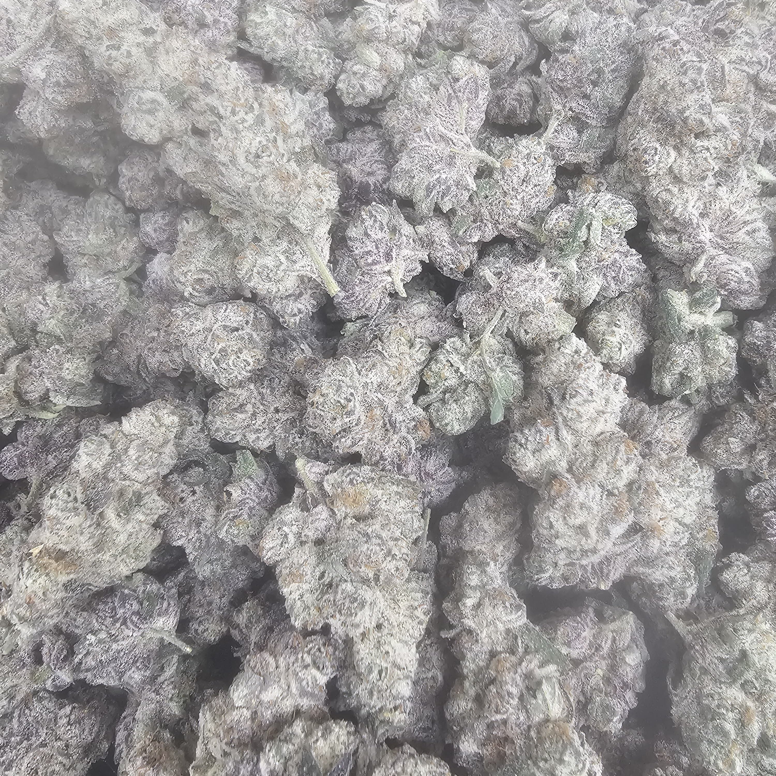 Peach Runtz THCa Flower