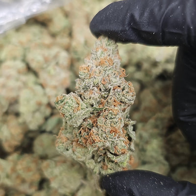 Papaya THCa Flower