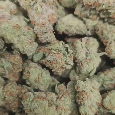 Planet Z THCa Flower