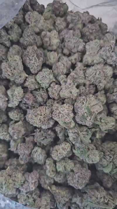 Blueberryz THCa Flower