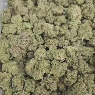 Jupiter OG THCa Flower