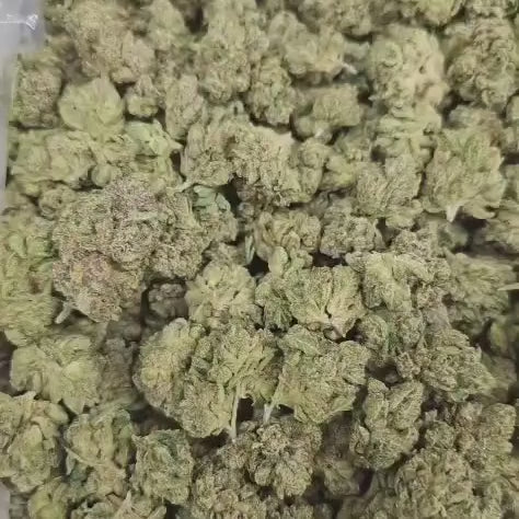 Load video: Jupiter OG THCa Flower