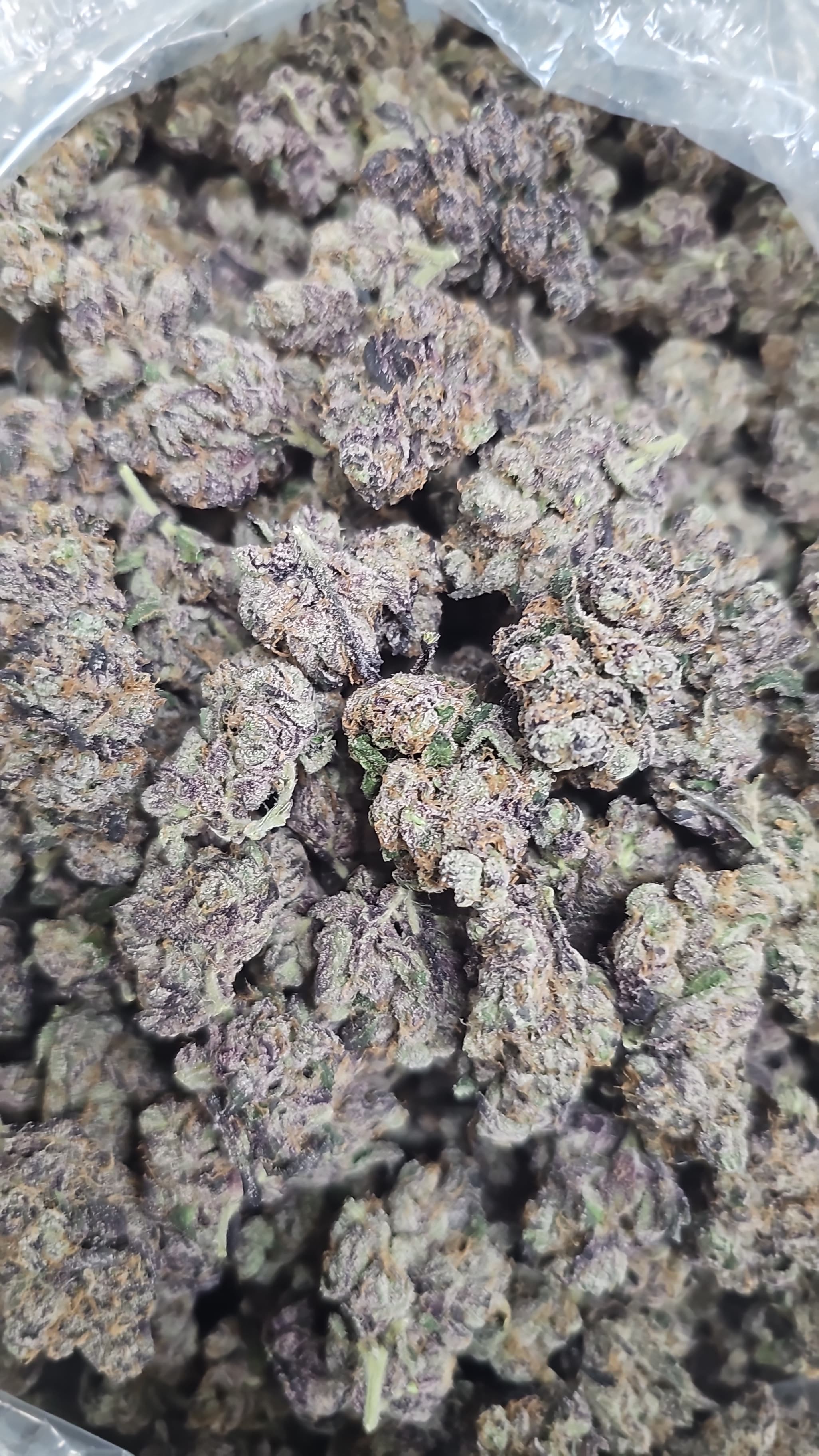 Space Runtz THCa Flower