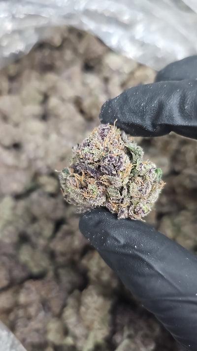 Space Runtz THCa Flower